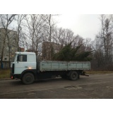 Озеленение Маслихи - 3.jpg